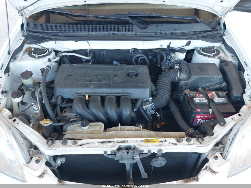 2007 Toyota Matrix VIN: 2T1KR32E17C656135 Lot: 43757126