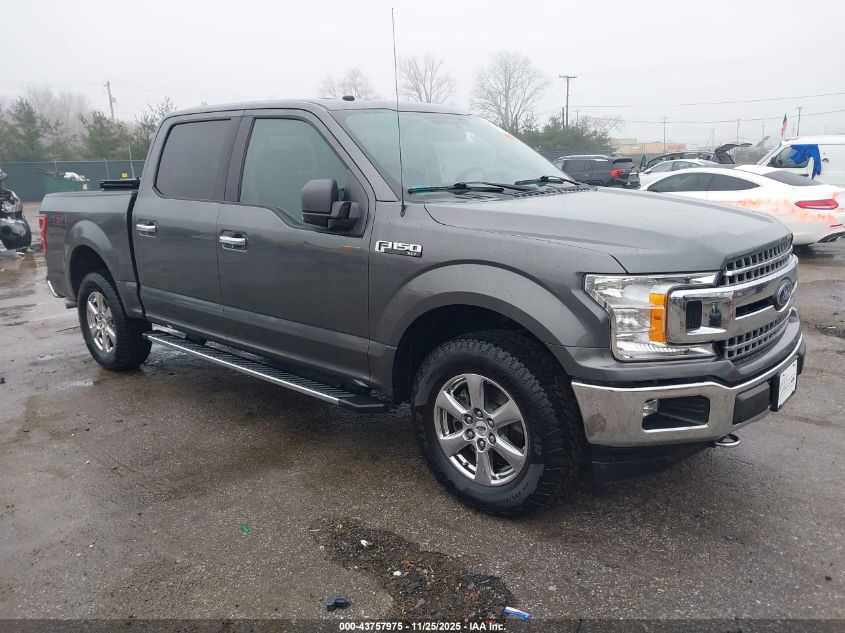 FORD F-150 XLT