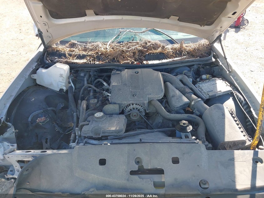 2007 Lincoln Town Car Signature Limited VIN: 1LNHM82W57Y636945 Lot: 43758024