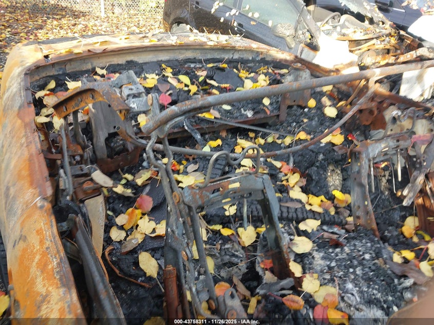 2009 Ford Mustang V6/V6 Premium VIN: 1ZVHT84N295111919 Lot: 43758311