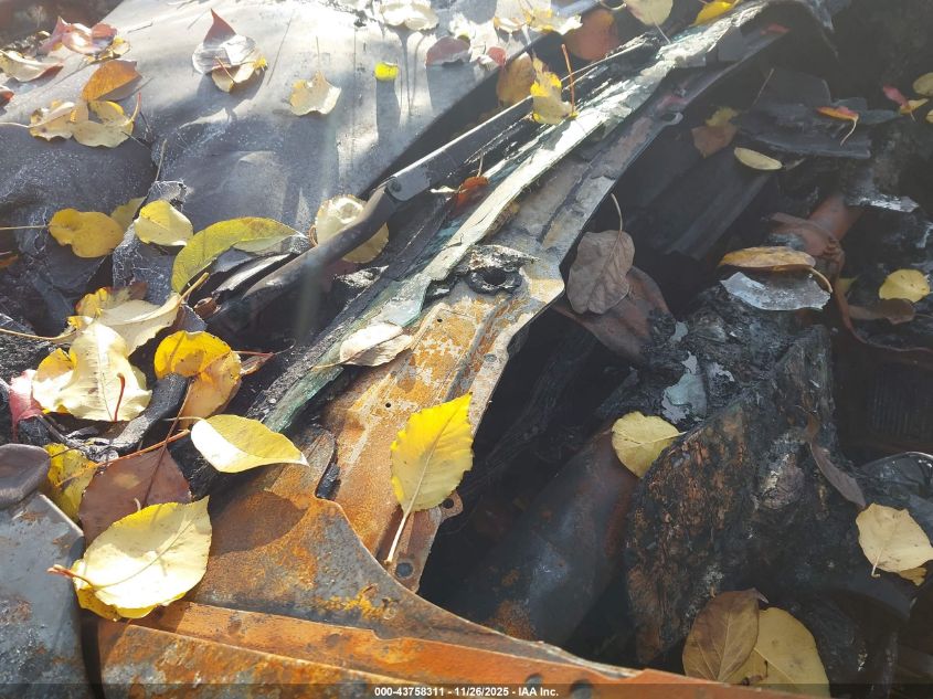 2009 Ford Mustang V6/V6 Premium VIN: 1ZVHT84N295111919 Lot: 43758311