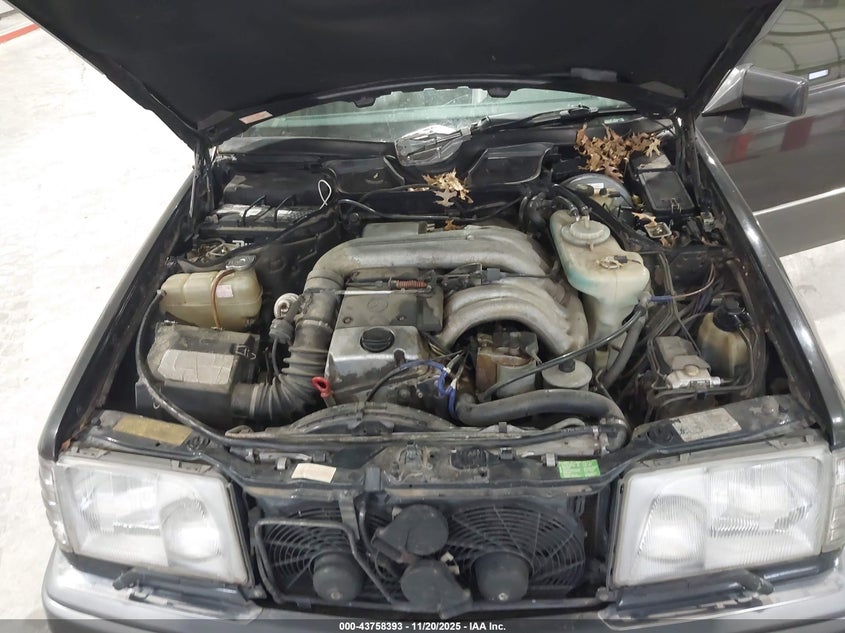 WDBEB31E2SC194719 1995 MERCEDES-BENZ  photo no. 10
