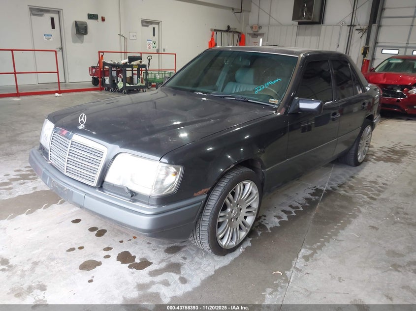 WDBEB31E2SC194719 1995 MERCEDES-BENZ  photo no. 2