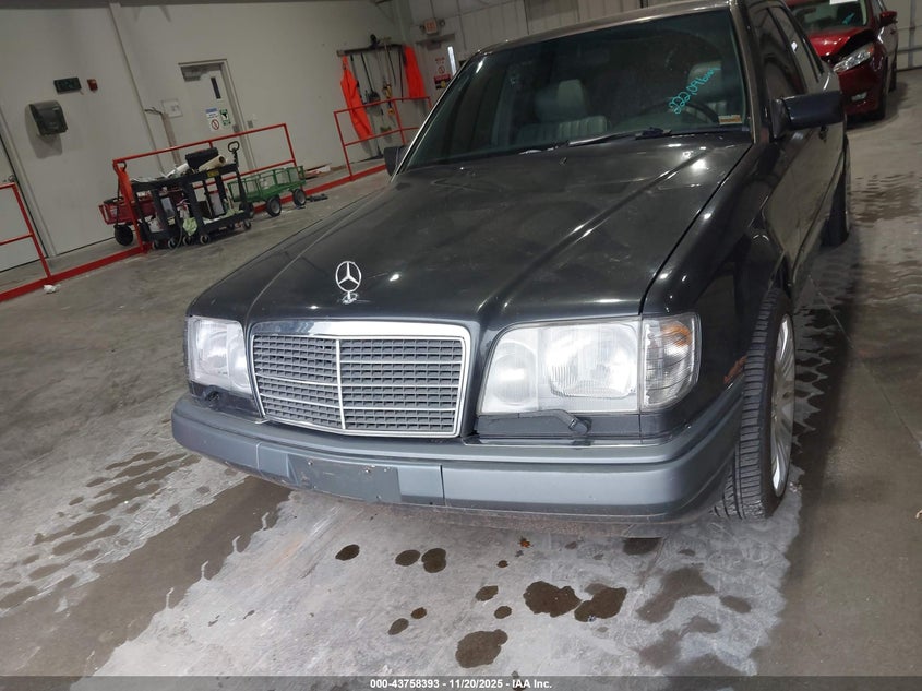 WDBEB31E2SC194719 1995 MERCEDES-BENZ  photo no. 6