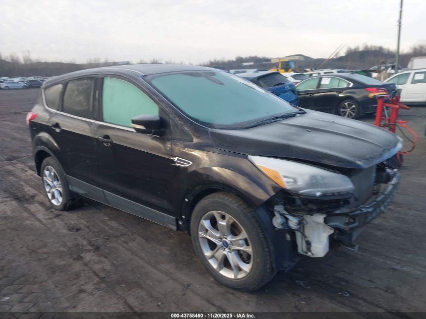 FORD ESCAPE SEL