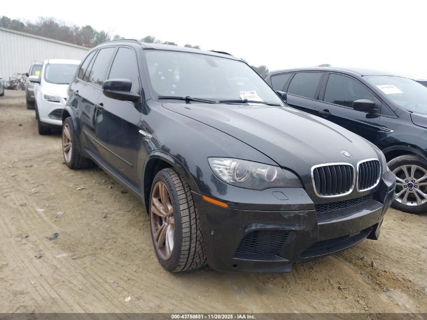 BMW X5 M X5 M