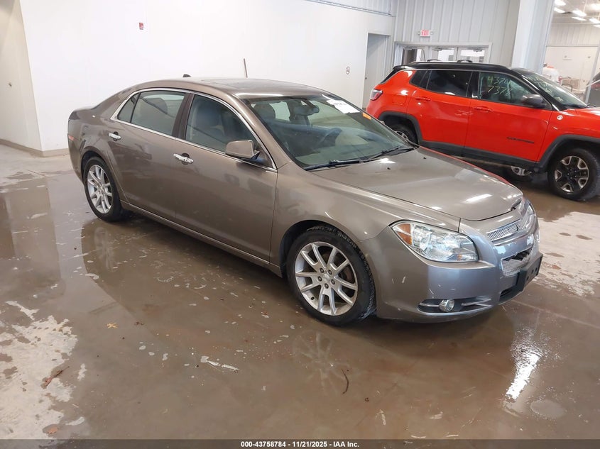 CHEVROLET MALIBU 1LZ