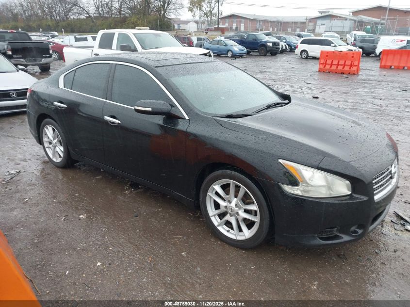 NISSAN MAXIMA 3.5 SV