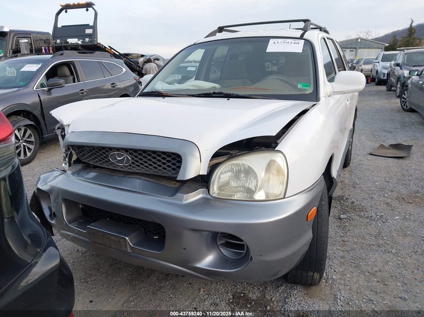 2004 Hyundai Santa Fe VIN: KM8SB12B54U758739 Lot: 43759240