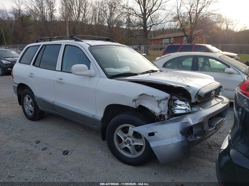 2004 Hyundai Santa Fe VIN: KM8SB12B54U758739 Lot: 43759240