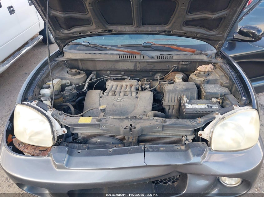 2001 Hyundai Santa Fe 2.7L V6 Gls/2.7L V6 Lx VIN: KM8SC83D11U126953 Lot: 43760091