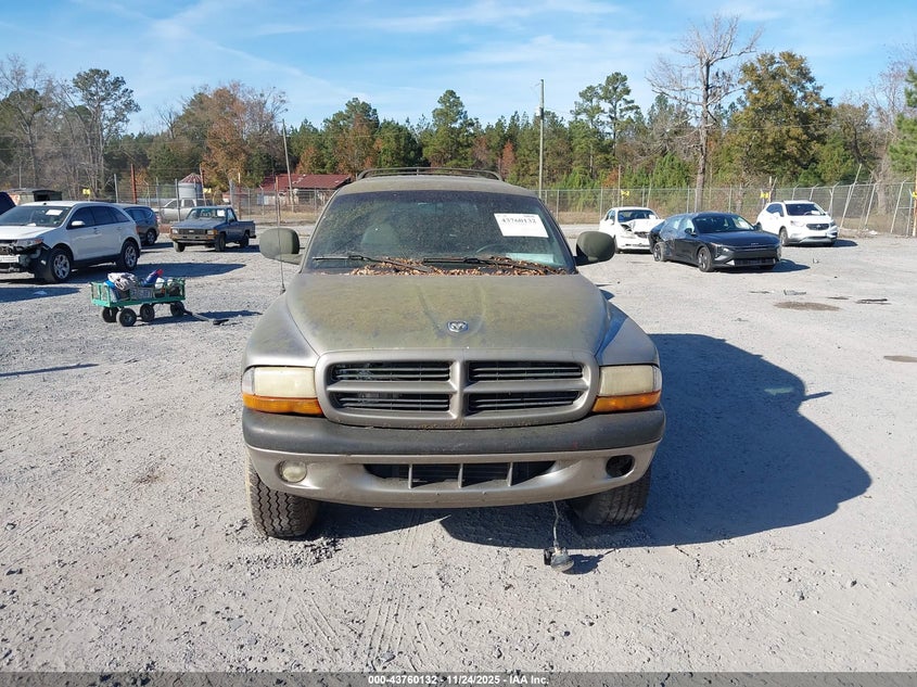 1999 Dodge Durango VIN: 1B4HS28Z3XF613908 Lot: 43760132