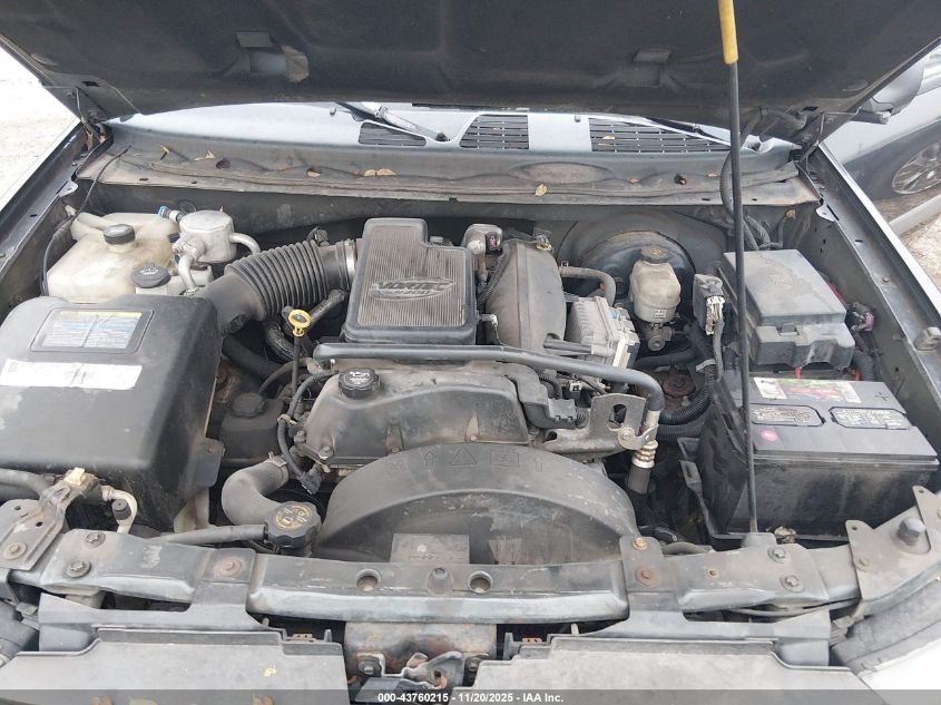 2003 Chevrolet Trailblazer Ls VIN: 1GNDT13S632140131 Lot: 43760215