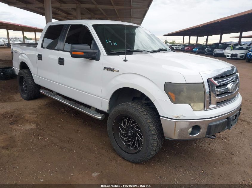 FORD F-150 XLT