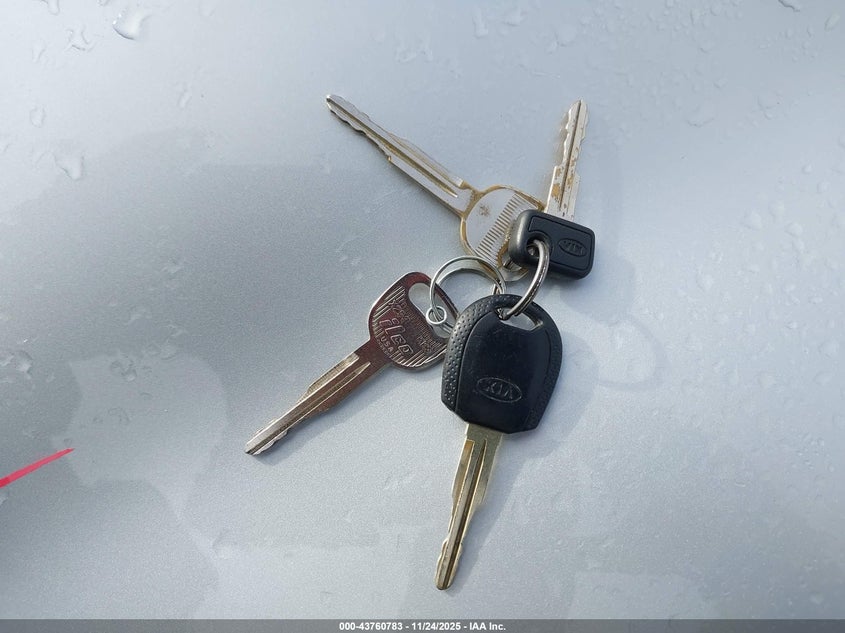 2004 Kia Sedona Ex/Lx VIN: KNDUP131546543130 Lot: 43760783