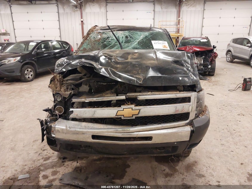 2011 Chevrolet Silverado 1500 Ls VIN: 1GCRKREA3BZ212607 Lot: 43761207