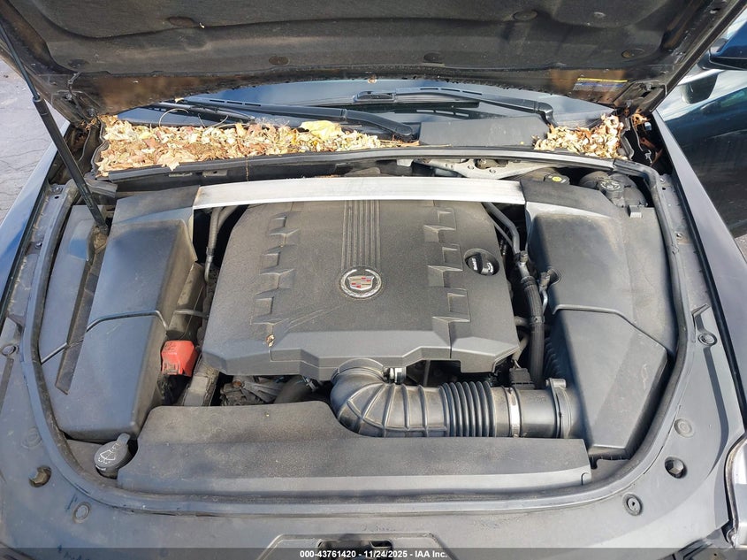 2009 Cadillac Cts Standard VIN: 1G6DJ577490160364 Lot: 43761420