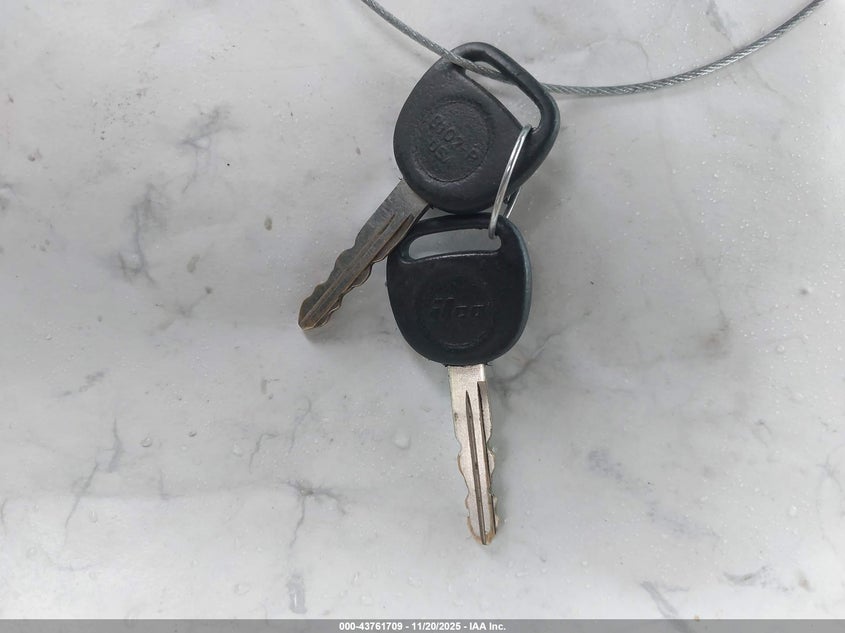 1999 Cadillac Escalade Standard VIN: 1GYEK13R1XR407597 Lot: 43761709