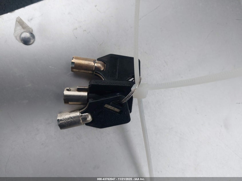 2011 Harley-Davidson Flstc VIN: 1HD1BW515BB019703 Lot: 43762047