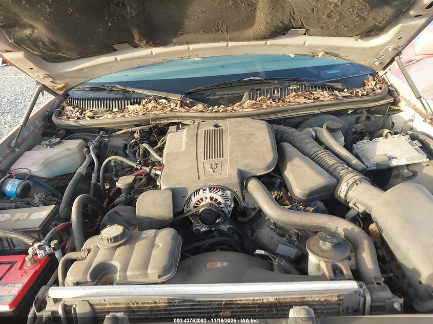 2005 Lincoln Town Car Signature VIN: 1LNHM81W35Y617339 Lot: 43743377