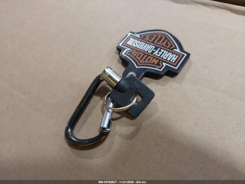 2005 Harley-Davidson Fxd VIN: 1HD1GHV195K312893 Lot: 43762827