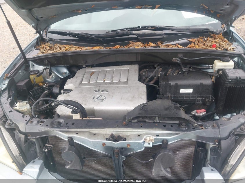 2007 Lexus Rx 350 VIN: 2T2GK31U77C013352 Lot: 43763884