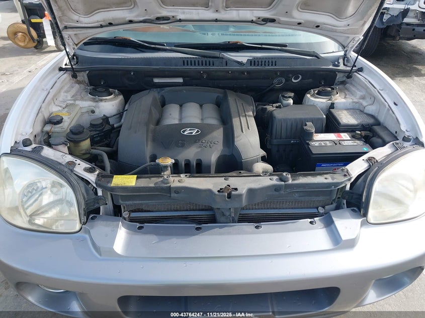 2004 Hyundai Santa Fe Gls VIN: KM8SC13D04U825535 Lot: 43764247