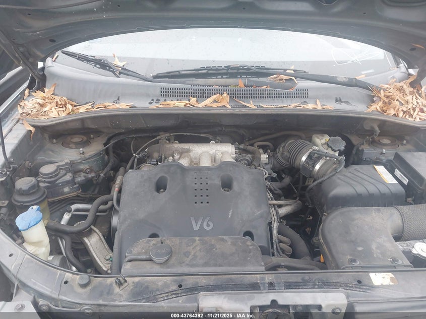 2009 Kia Sportage Ex V6 VIN: KNDJF723197573772 Lot: 43764392