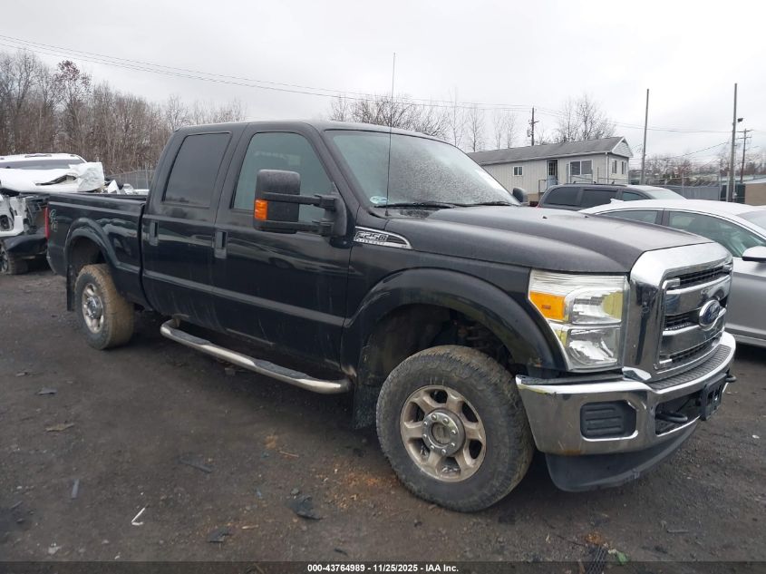 FORD F-250 XLT