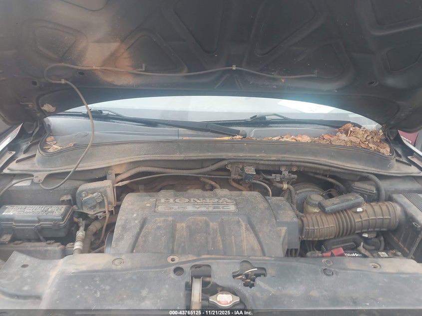 2007 Honda Pilot Ex-L VIN: 5FNYF18587B032004 Lot: 43765125