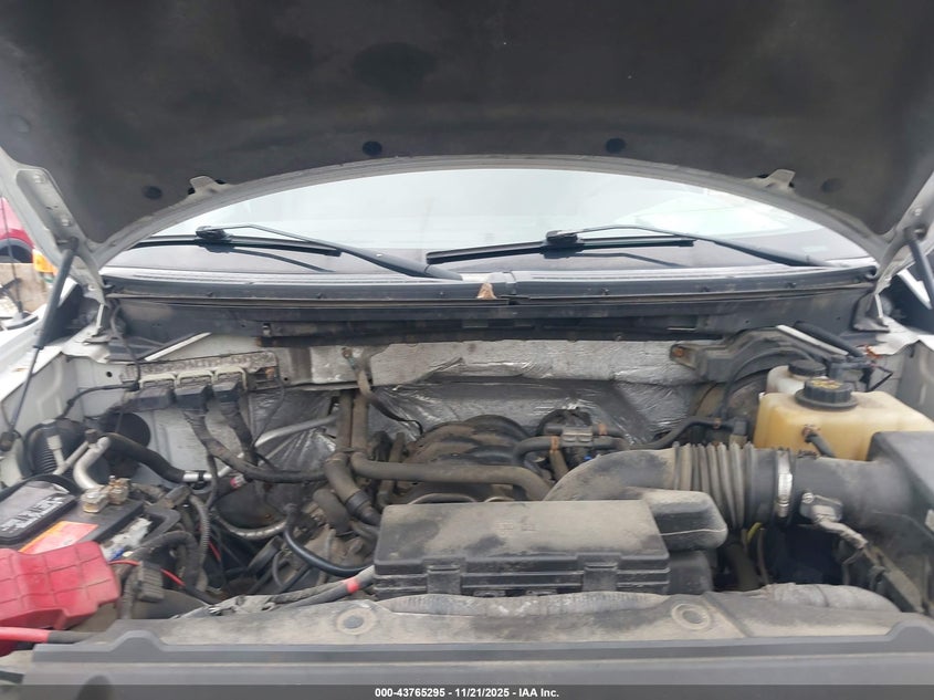 2013 Ford F-150 Xl VIN: 1FTNF1EF6DKD12115 Lot: 43765295