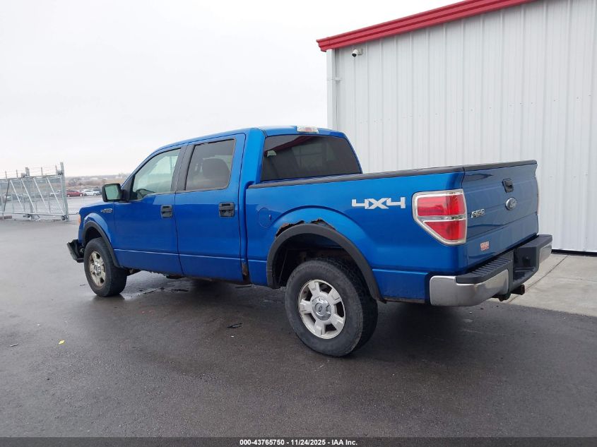 2009 Ford F-150 Xlt VIN: 1FTPW14V39FA50264 Lot: 43765750