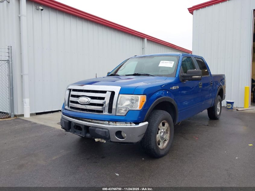 2009 Ford F-150 Xlt VIN: 1FTPW14V39FA50264 Lot: 43765750