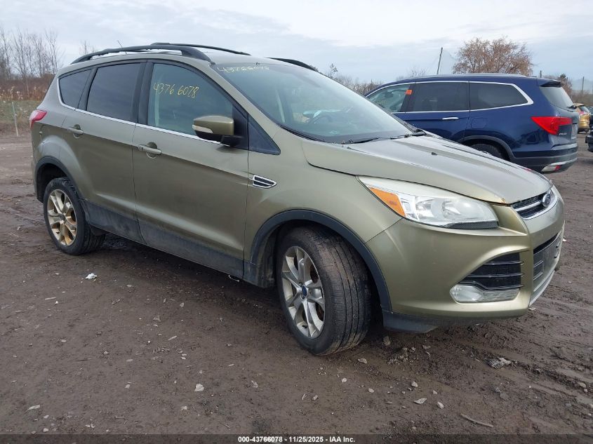 FORD ESCAPE SEL
