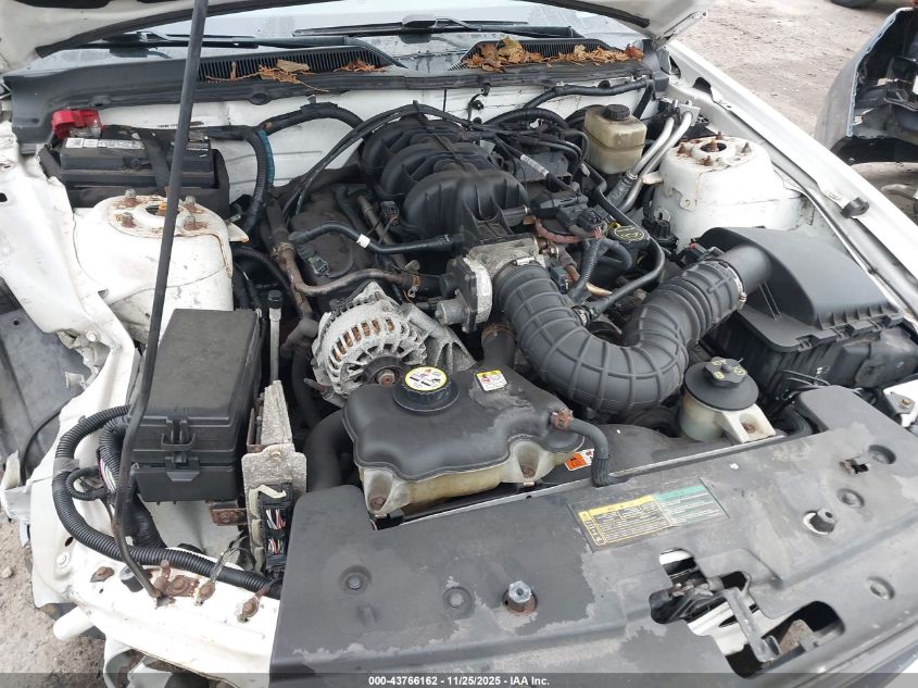 2007 Ford Mustang V6 Deluxe/V6 Premium VIN: 1ZVHT80N375243543 Lot: 43766162