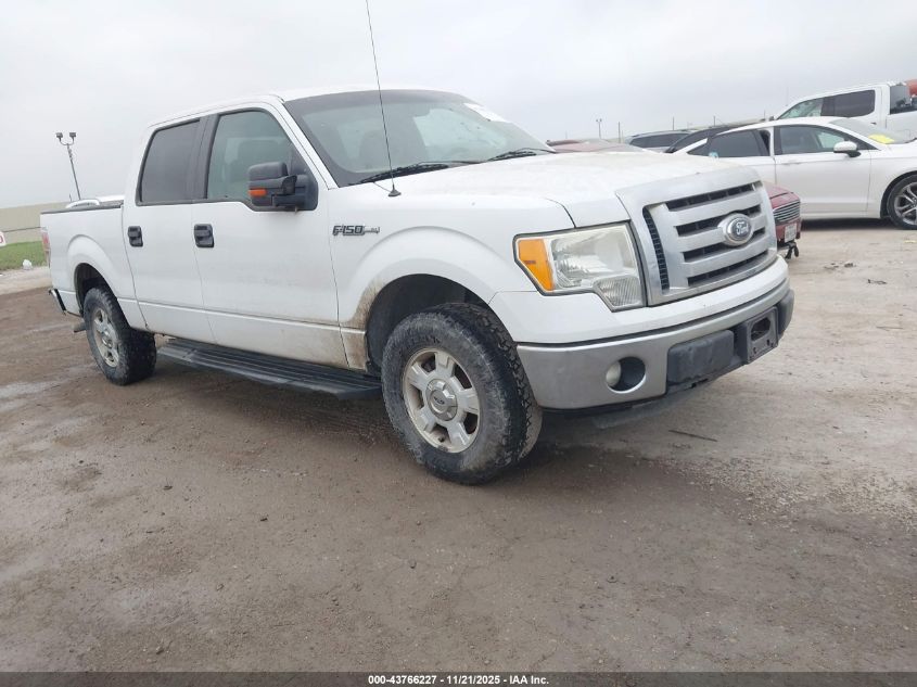 FORD F-150 XLT