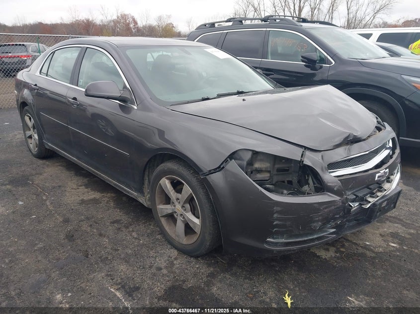 CHEVROLET MALIBU 1LT