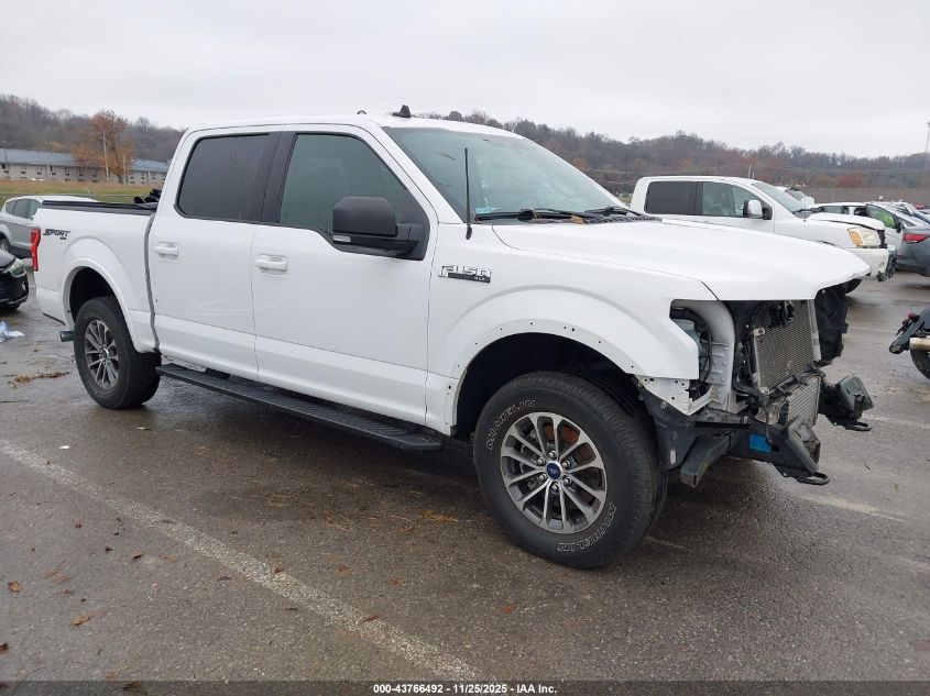 FORD F-150 XLT