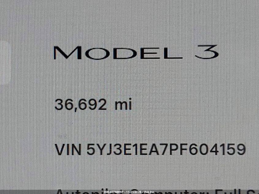 2023 Tesla Model 3 Rear-Wheel Drive VIN: 5YJ3E1EA7PF604159 Lot: 43766655