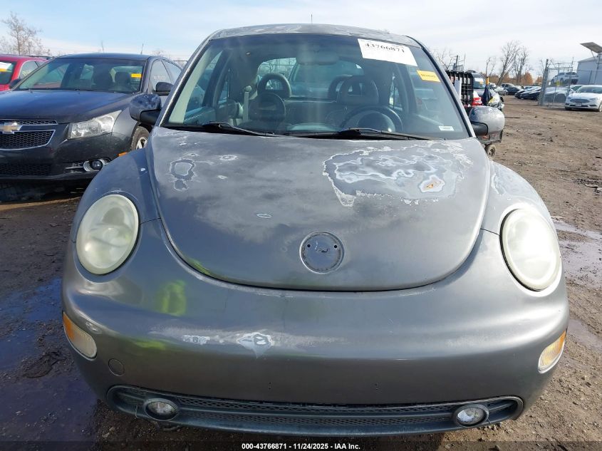 2002 Volkswagen New Beetle Gls VIN: 3VWCB21C22M441573 Lot: 43766871