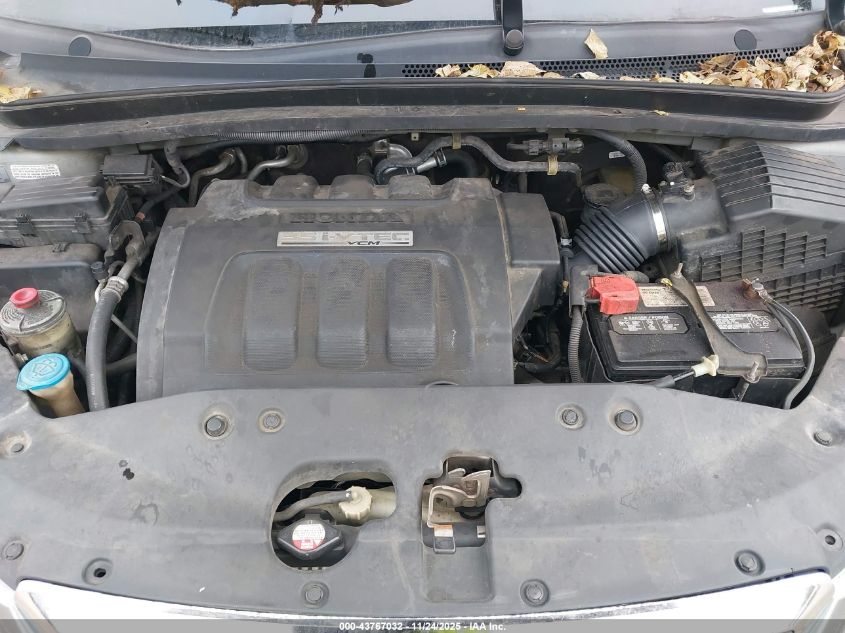 2007 Honda Odyssey Ex-L VIN: 5FNRL38607B031401 Lot: 43767032