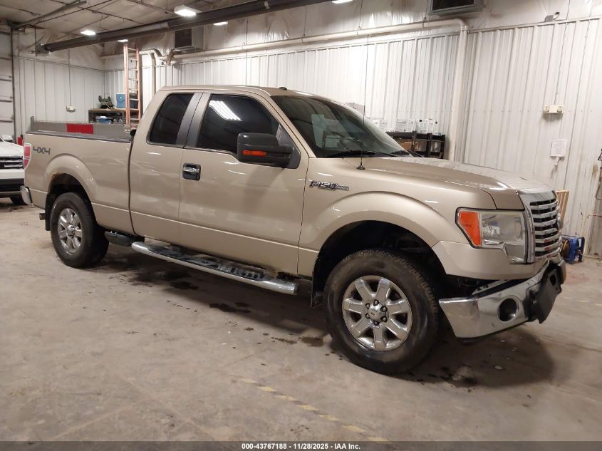 FORD F-150 XLT