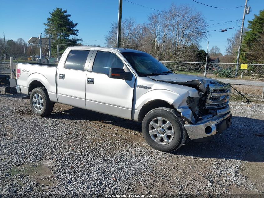FORD F-150 XLT