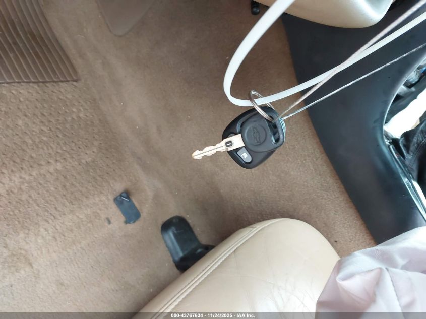 2002 Chevrolet Corvette VIN: 1G1YY32G325134393 Lot: 43767634