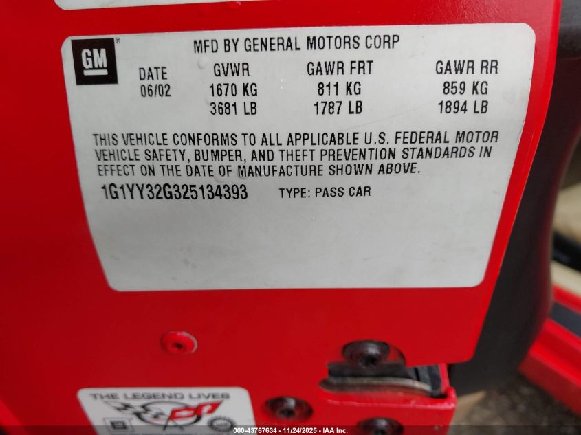 2002 Chevrolet Corvette VIN: 1G1YY32G325134393 Lot: 43767634