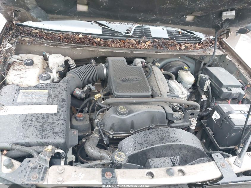 2002 Chevrolet Trailblazer Ls VIN: 1GNDS13S322462436 Lot: 43767671