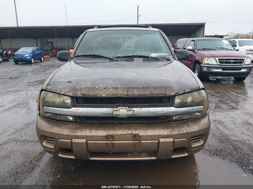2002 Chevrolet Trailblazer Ls VIN: 1GNDS13S322462436 Lot: 43767671