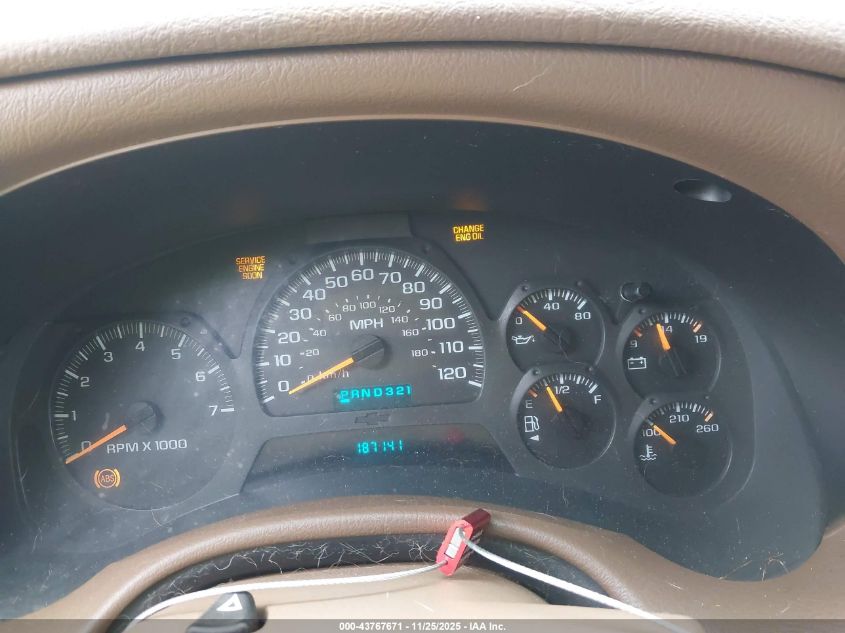 2002 Chevrolet Trailblazer Ls VIN: 1GNDS13S322462436 Lot: 43767671