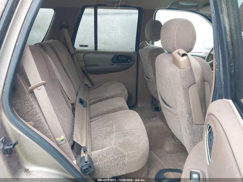 2002 Chevrolet Trailblazer Ls VIN: 1GNDS13S322462436 Lot: 43767671