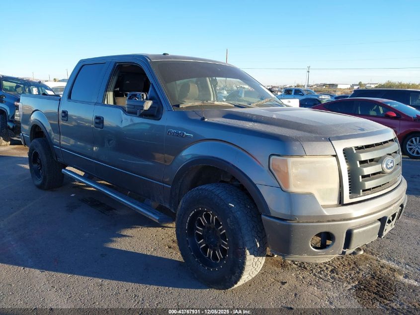 FORD F-150 FX4/HARLEY-DAVIDSON/KING RANCH/LARIAT/PLATINUM/XL/XLT